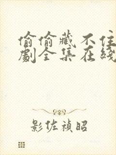 偷偷藏不住电视剧全集在线免费观看