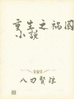 重生之祸国妖后 小说