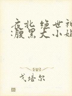 夜北 绝世神医:腹黑大小姐