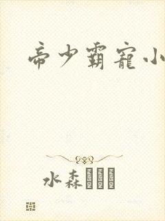 帝少霸宠小甜妻