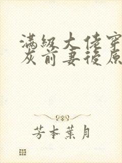 满级大佬穿成炮灰前妻后原著