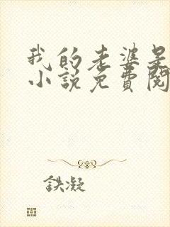 我的老婆是总裁小说免费阅读全文