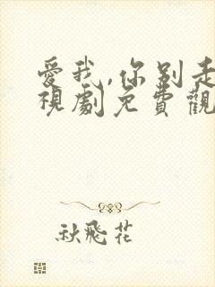 爱我,你别走电视剧免费观看