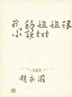 我的姐姐很弟控小说txt