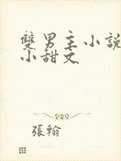 双男主小说推荐小甜文