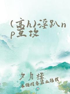 (高h)淫趴np互攻