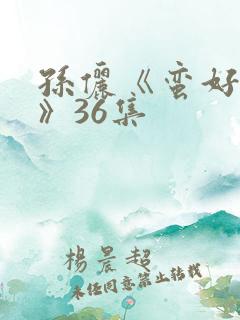 孙俪《蛮好人生》36集