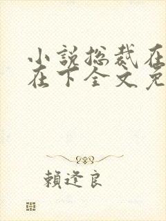 小说总裁在上我在下全文免费阅读