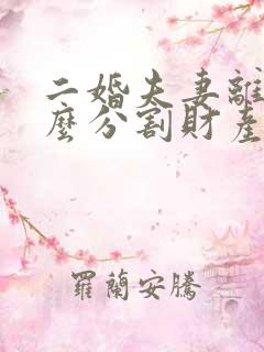 二婚夫妻离婚怎么分割财产