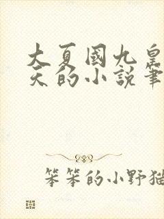 大夏国九皇子夏天的小说笔趣阁
