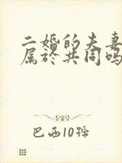 二婚的夫妻财产属于共同吗