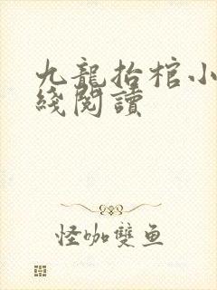 九龙抬棺小说在线阅读