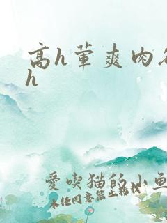 高h荤爽肉欲文h