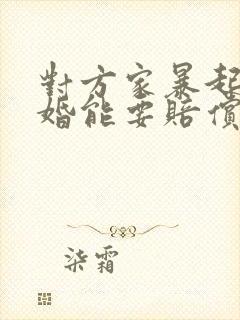 对方家暴起诉离婚能要赔偿吗