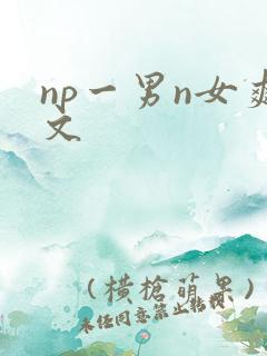 np一男n女爽文