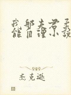 我那夫君柔弱不能自理小说版