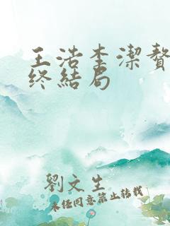 王浩李洁赘婿最终结局