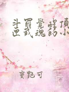 斗罗觉醒顶级剑匣武魂的小说