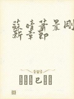 苏晴萧晨刚刚更新章节