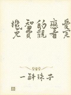 机智的恋爱综艺免费观看完整版