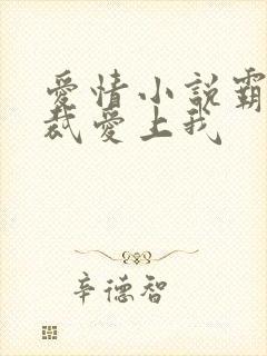 爱情小说霸道总裁爱上我