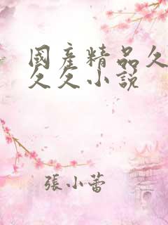 国产精品久久久久久小说