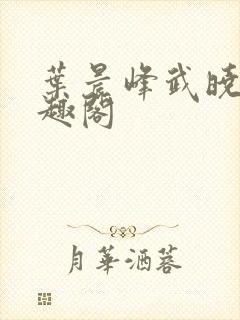 叶晨峰武晓菲笔趣阁