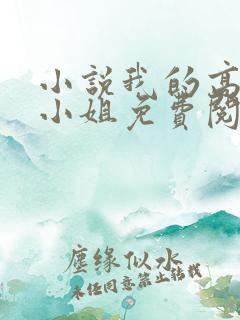 小说我的高冷大小姐免费阅读