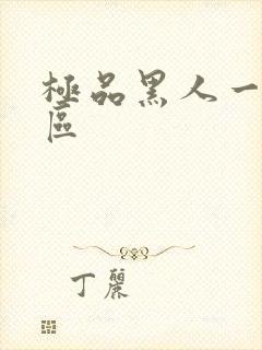 极品黑人一区二区