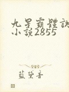 九星霸体诀有声小说2855