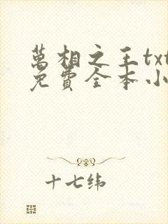 万相之王txt免费全本小说