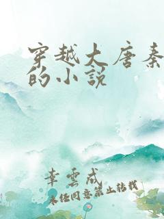 穿越大唐秦怀道的小说