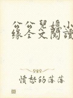 公公儿媳小说孽缘全文阅读