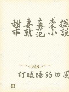 甜妻来袭总裁乖乖就范小说