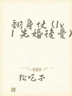 翻身仗 (1v1 先婚后爱)