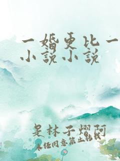 一婚更比一婚高小说小说