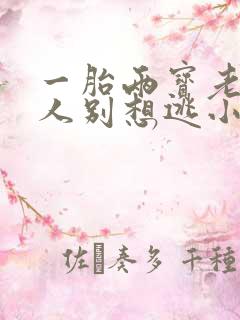 一胎两宝老婆大人别想逃小说