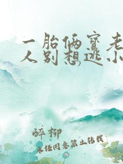 一胎俩宝老婆大人别想逃小说