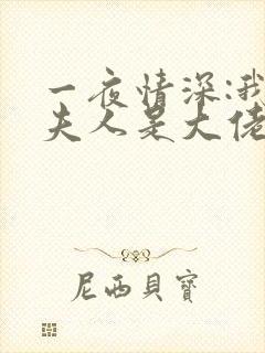 一夜情深:我家夫人是大佬小说免费阅读