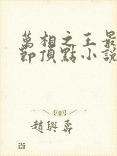 万相之王最新章节顶点小说