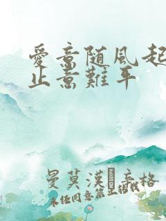 爱意随风起 风止意难平