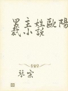 男主姓欧阳的总裁小说