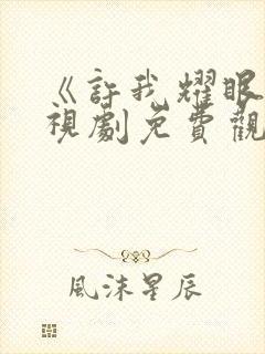 《许我耀眼》电视剧免费观看全集