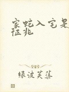 家蛇入宅是什么征兆