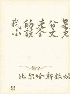 我的老公是大佬小说全文免费阅读