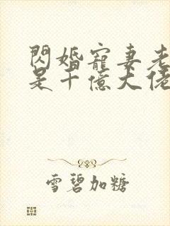 闪婚宠妻老公竟是千亿大佬免费阅读