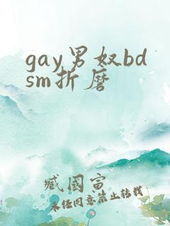 gay男奴bdsm折磨