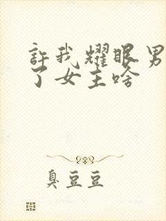 许我耀眼男主骗了女主啥