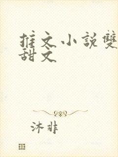 推文小说双男主甜文