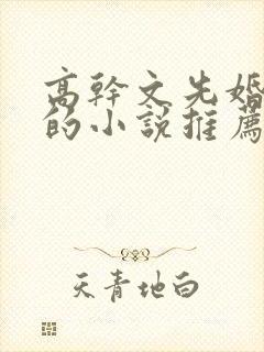 高干文先婚后爱的小说推荐